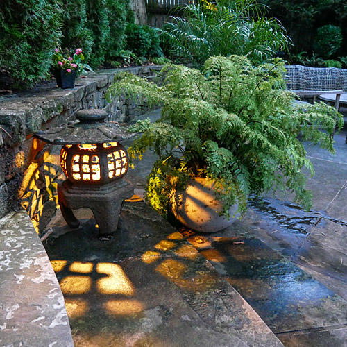 A lantern and a potted fern on a garden step